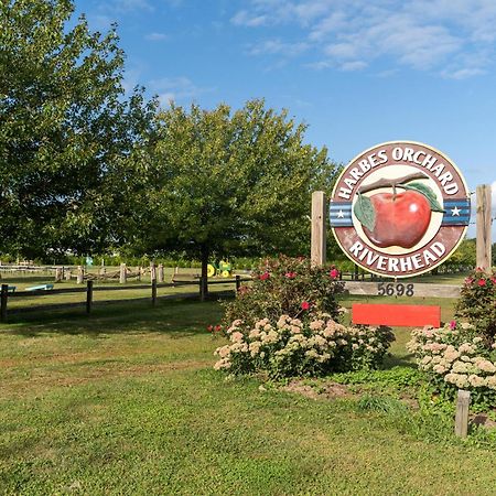 Villa Large Modern North Fork Barn:Vineyards In Backyard, Harbes Farms Mattituck Esterno foto
